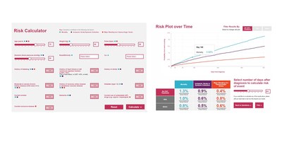 The input interface and a risk calculation