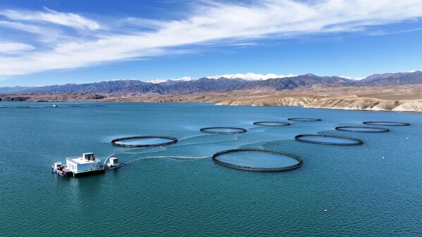 天蕴三文鱼养殖基地