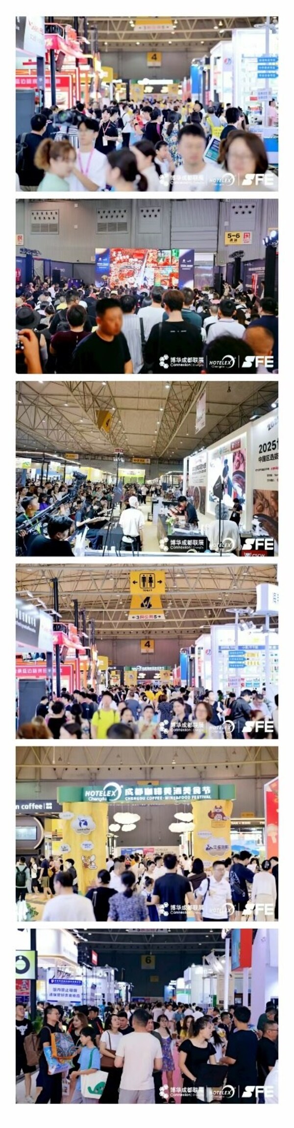 2025 博华成都联展圆满落幕，7大餐饮国际赛事冠军揭晓